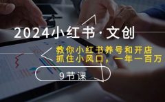 2024小红书·文创:教你小红书养号和开店、抓住小风口 一年一百万 (9节课)