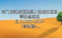 冷门右豹解压视频小说推文项目，零粉丝变现，日入1000-1500+（含教程）