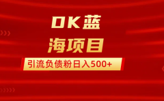 DK蓝海项目 通过,抖音,快手,小红书,引流负债粉日入500+