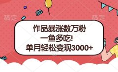 单条视频暴涨数万粉--多平台通吃项目！单月轻松变现3000+