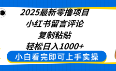 2025最新零撸项目，小红书留言评论，复制粘贴即可赚钱，轻松日入1000+