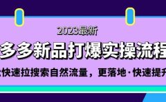 拼多多-新品打爆实操流程:轻松快速拉搜索自然流量,更落地·快速提升