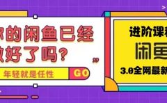 火爆全网的咸鱼玩法进阶课程，咸鱼进阶课程