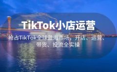 TikTok小店运营 抢占TikTok全球蓝海市场，开店、运营、带货、投流全实操