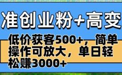 精准创业粉+高变现:低价获客500+,简单操作可放大,单日轻松赚3000+