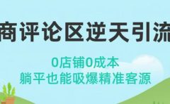 电商评论区逆天引流术！0店铺0成本，躺平也能吸爆精准客源