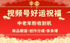 视频号最火赛道，商品橱窗，分成计划 条条爆