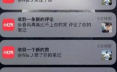 道哥说创业·男粉项目第一期，规合法合规，非常高利润的项目