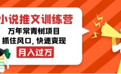 小说推文训练营,万年常青树项目,抓住风口