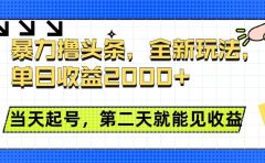 暴力撸头条全新玩法,单日收益2000+,小白也能无脑操作,当天起号,第二天见收益