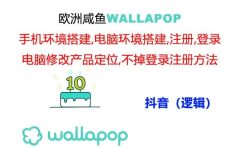 wallapop整套详细闭环流程:最稳定封号率低的一个操作账号的办法