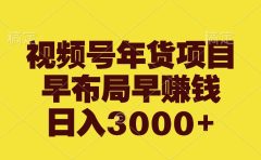 视频号年货项目，早布局早赚钱，日入3000+