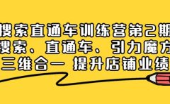搜索直通车训练营第2期：搜索、直通车、引力魔方三维合一 提升店铺业绩