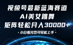 视频号蓝海赛道玩法，当天起号，拉爆流量收益，小白也能轻松月入30000+
