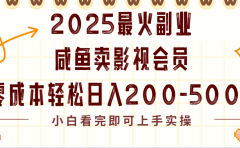 2025最火副业闲鱼卖vip影视会员，零成本日入200-500