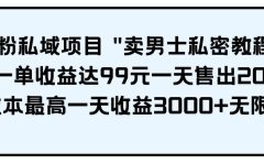 男粉私域项目 卖男士私密教程 每一单收益达99元一天售出20单