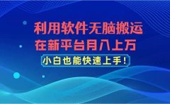 利用软件无脑搬运，在新平台月入上万，小白也能快速上手