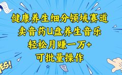 健康养生细分领域赛道，卖音药U盘养生音乐，轻松月赚一万+，可批量操作