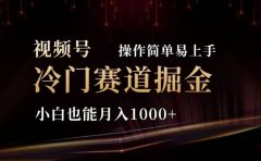2024视频号冷门赛道掘金,操作简单轻松上手,小白也能月入1000+