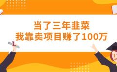 当了三年韭菜我靠卖项目赚了100万