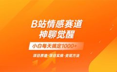 蓝海项目,B站情感赛道——教聊天技巧,小白都能一天搞定1000+