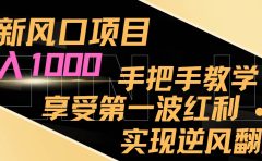 最新风口项目，日入过千，抓住当下风口，享受第一波红利，实现逆风翻盘