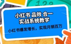 小红书 品效 合一实战系统教学:小红书爆发增长,实现月销百万 (59节)