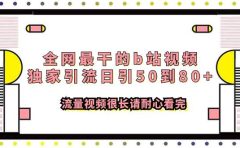 全网最干的b站视频独家引流日引50到80+流量视频很长请耐心看完