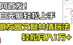 小白轻松无脑上手,朋友圈共情文案玩法,月入1W+