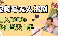 视频号无人播剧,拉爆流量不违规,日入5000+,小白当天上手