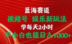 蓝海赛道视频号 娱乐新玩法每天2小时小白也能日入1000+