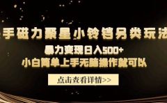 快手磁力聚星小铃铛另类玩法,暴力变现日入500+小白简单上手无脑操作就可以