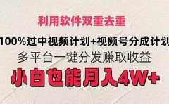 利用软件双重去重,100%过中视频+视频号分成计划小白也可以月入4W+