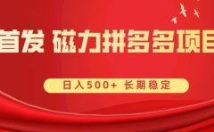 首发 磁力拼多多自撸  日入500+