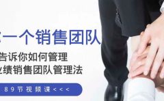 给你一个销售团队，告诉你如何管理，高业绩销售团队管理法（89节课）