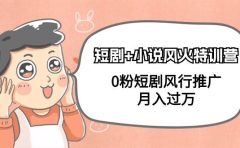 短剧+小说风火特训营，0粉短剧风行推广，月入过万（102节课）