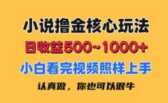 小说撸金核心玩法,日收益500-1000+,小白看完照样上手,0成本有手就行