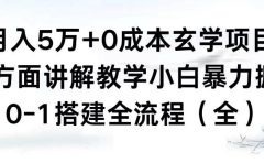 月入5万+0成本玄学项目，全方面讲解教学，0-1搭建全流程（全）小白暴力掘金