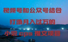 视频号和公众号结合打造月入过万的小说cps推文项目