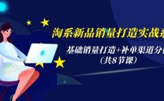 淘系新品销量打造实战系列，基础销量打造+补单渠道分析（共8节课）