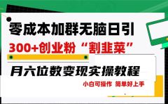 零成本加群日引300+创业粉割韭菜月六位数变现，简单无好上手！