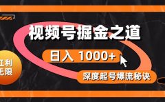 红利无限！视频号掘金之道，深度解析起号爆流秘诀，轻松实现日入 1000+！