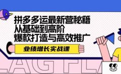 拼多多运最新营秘籍：业绩 增长实战课，从基础到高阶，爆款打造与高效推广