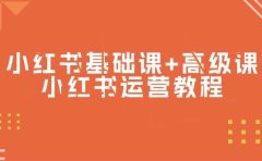 小红书基础课+高级课-小红书运营教程(53节视频课)