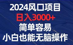 2024风口项目，日入3000+，简单容易，小白也能无脑操作