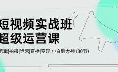 短视频实战班-超级运营课，|剪辑|拍摄|运营|直播|变现 小白到大神 (30节)