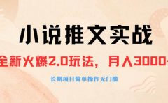 外面收费990的小说推广软件,零粉丝可变现,月入3000+,小白当天即上手