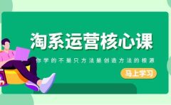 淘系-运营核心课，你学的不是只方法是创造方法的根源（190节课）