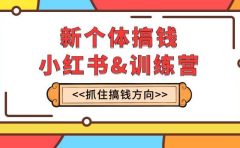 新个体·搞钱-小红书训练营：实战落地运营方法，抓住搞钱方向，每月多搞2w+