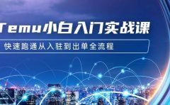 Temu小白入门实战课：跨境拼多多电商培训 快速跑通从入驻到出单全流程-12节